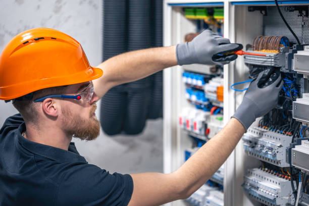 Best Local Electrician Companies  in Carle Place, NY
